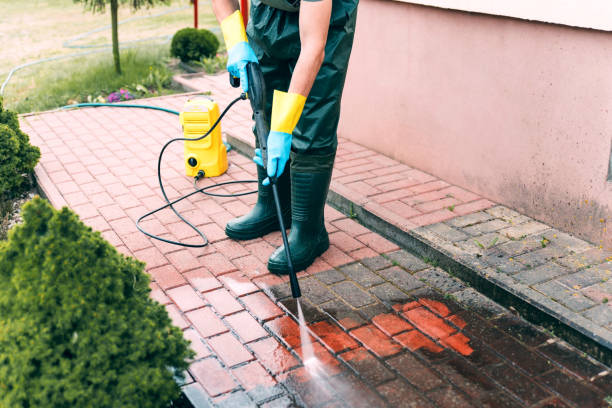 Best Animal Enclosure Cleaning  in Grayling, MI